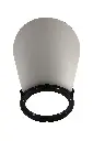 BT (4).webp