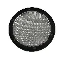 BT (5).webp